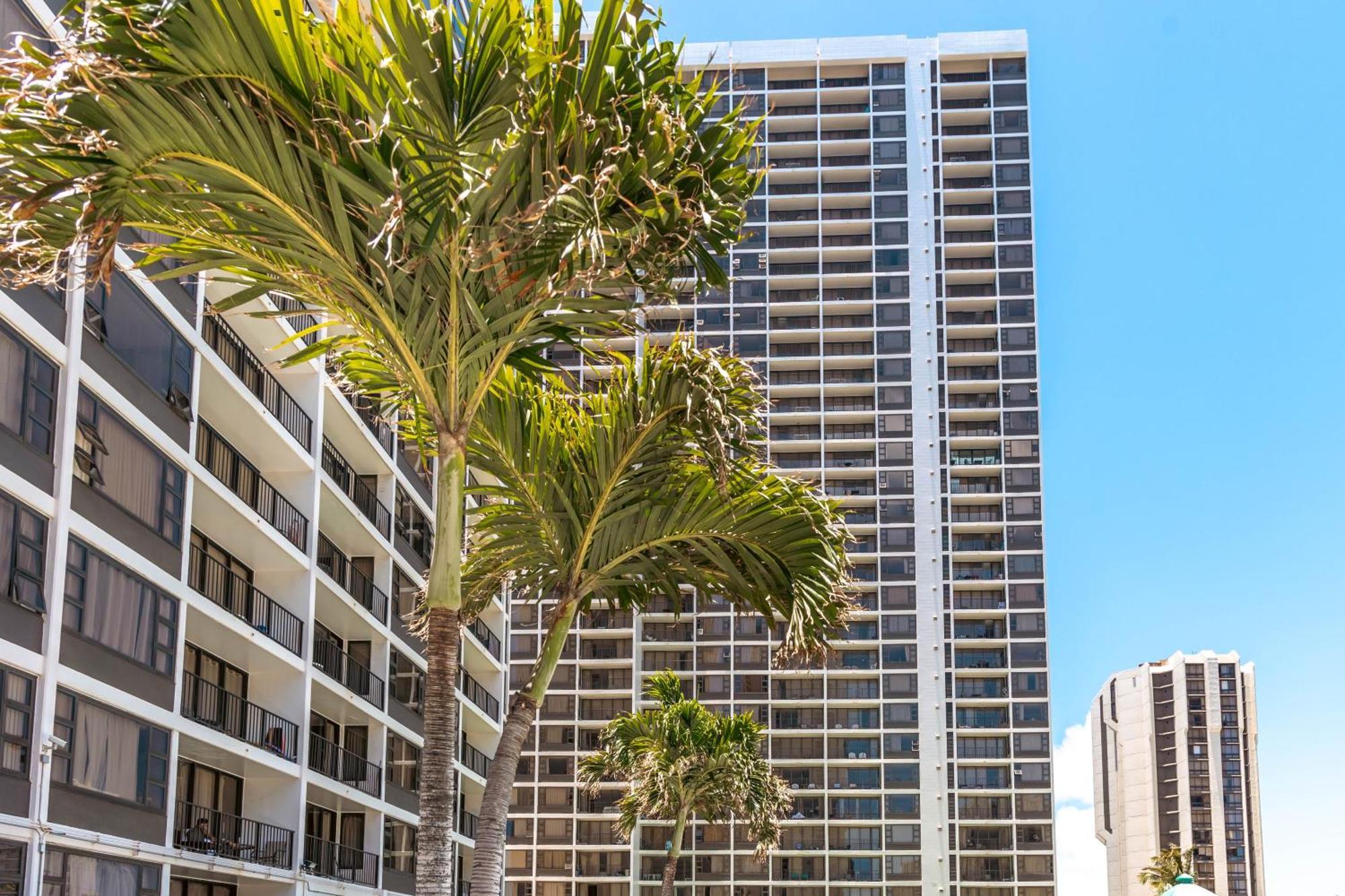 Diamond Head Views Retreat With Free Parking & Near Waikiki Beach! 檀香山 外观 照片