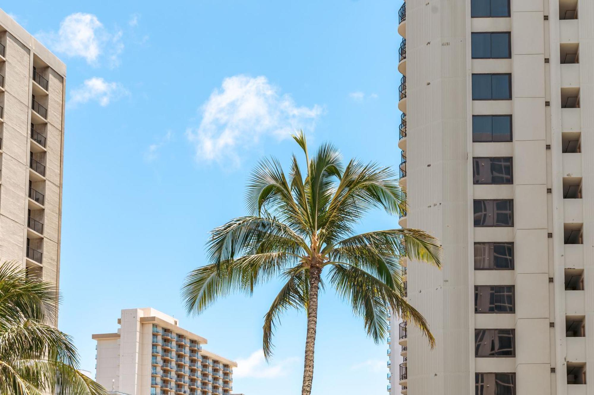 Diamond Head Views Retreat With Free Parking & Near Waikiki Beach! 檀香山 外观 照片